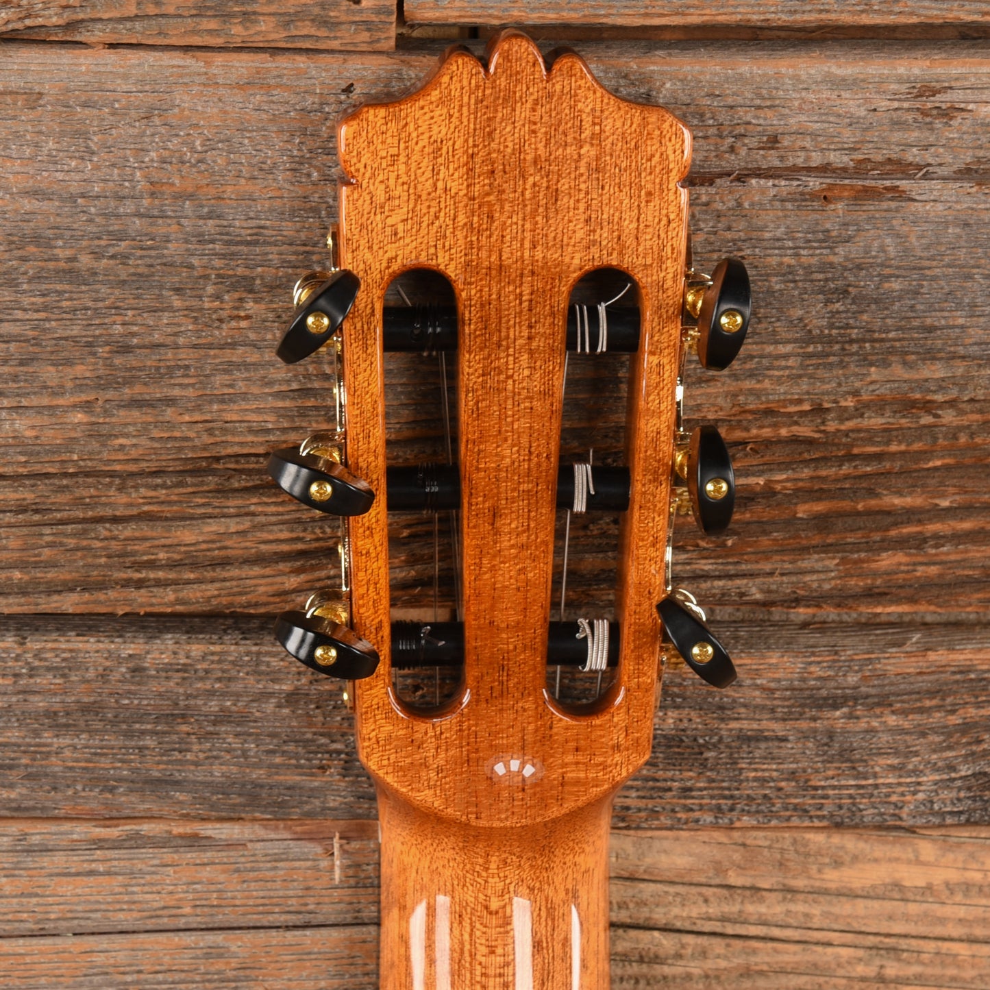 Cordoba C10 Natural Acoustic Guitars / Classical