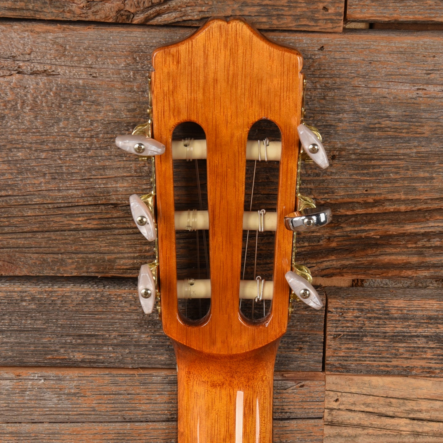 Cordoba C5-CE Natural Acoustic Guitars / Classical