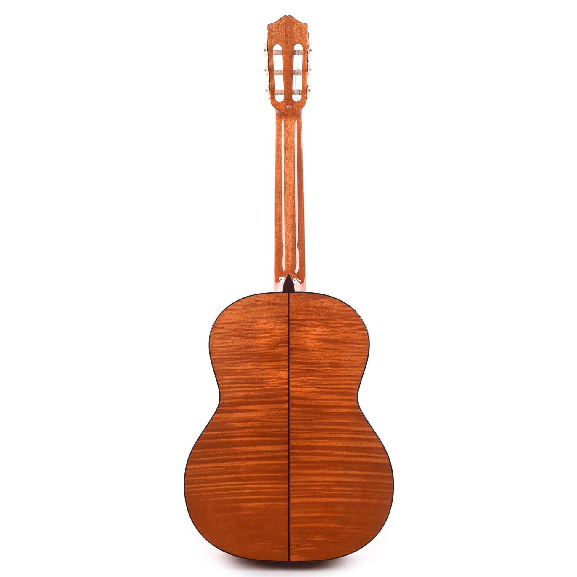 Cordoba C5 Limited Flame Mahogany Classical Guitar Acoustic Guitars / Classical