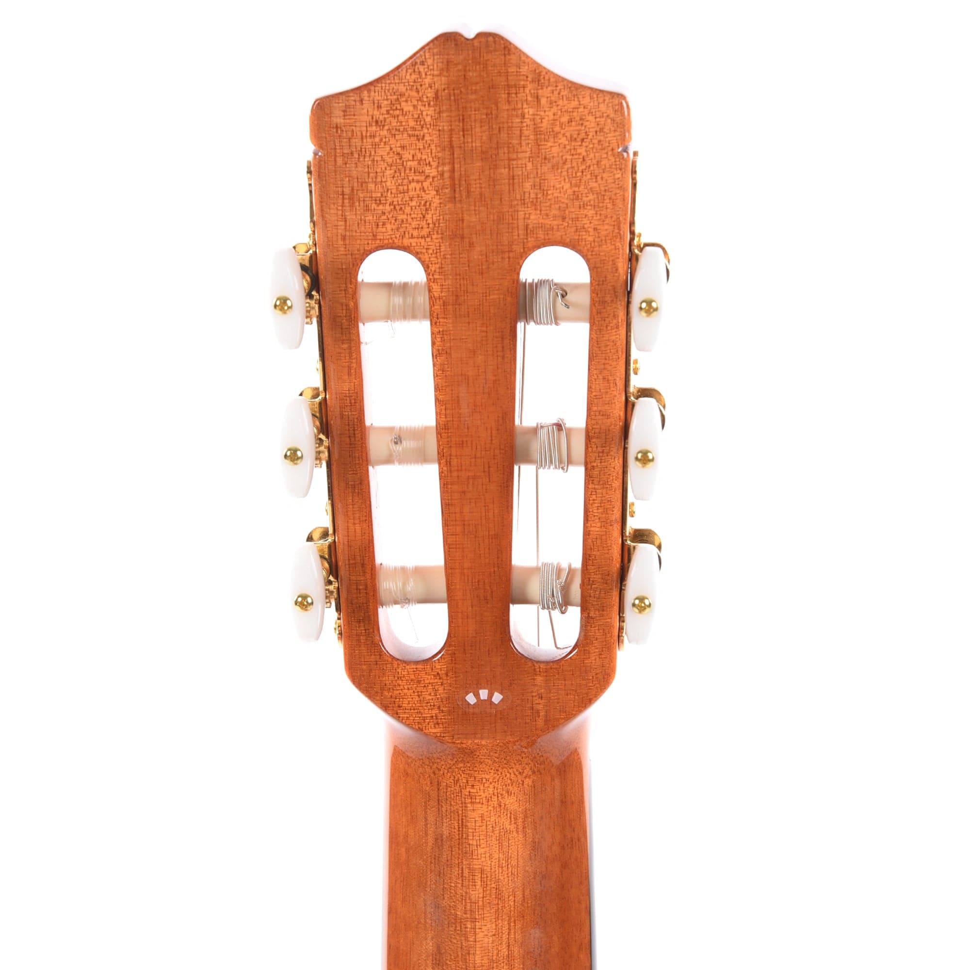 Cordoba C5 Limited Flame Mahogany Classical Guitar Acoustic Guitars / Classical