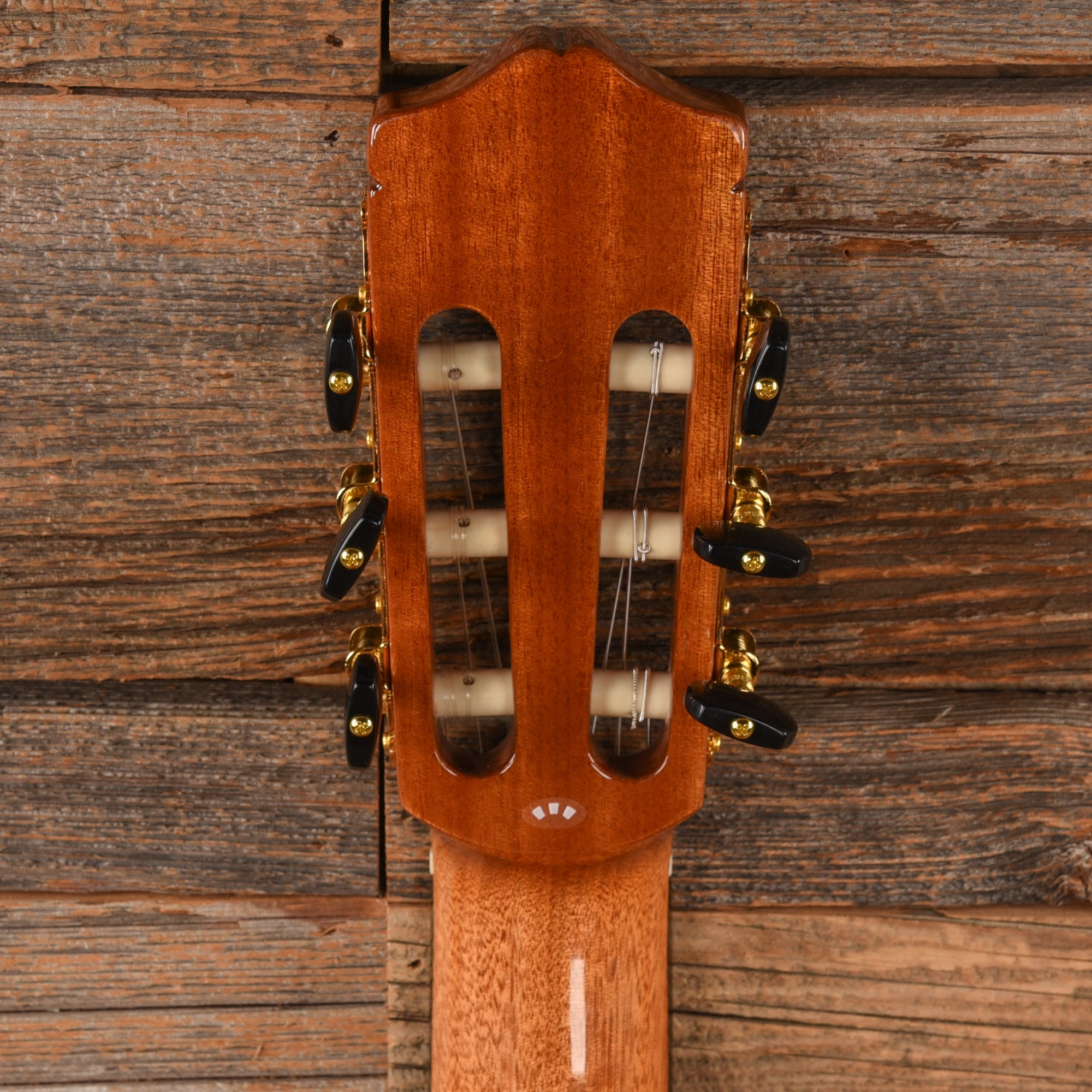 Cordoba C5 Limited Flamed Mahogany Natural Acoustic Guitars / Classical