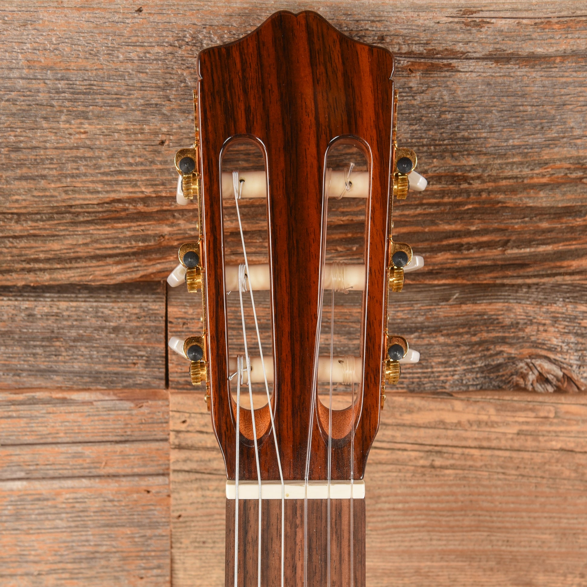 Cordoba C5 Natural Acoustic Guitars / Classical