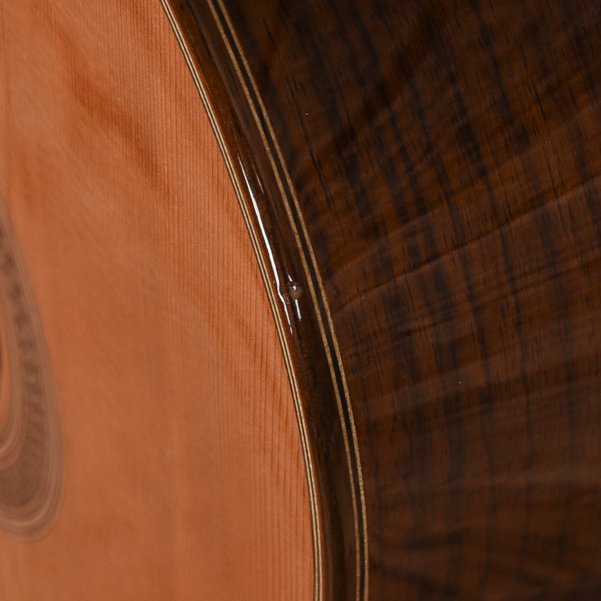 Cordoba C7 CD Natural Acoustic Guitars / Classical
