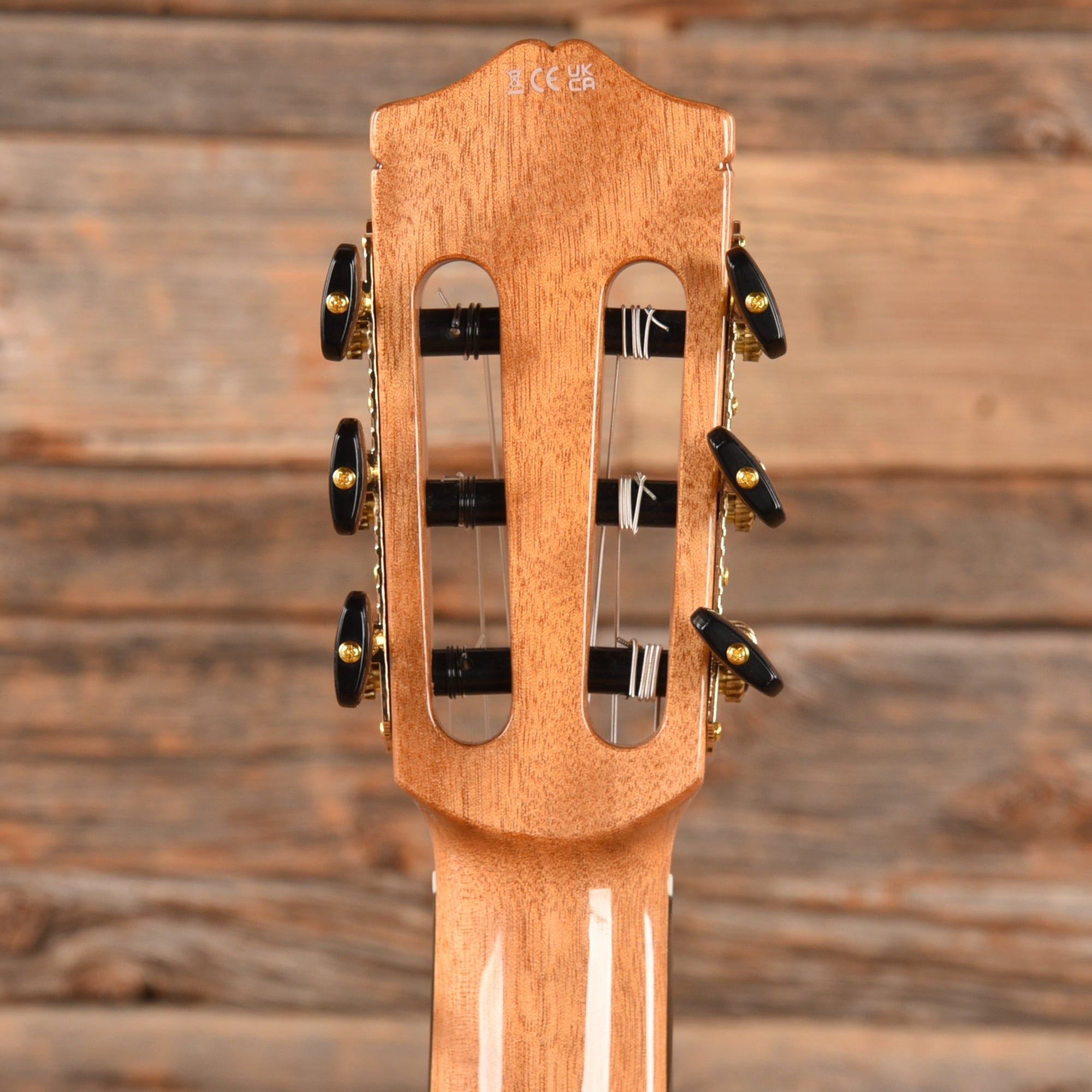 Cordoba Iberia Series GK Studio Limited European Spruce/Ziricote Acoustic Guitars / Classical