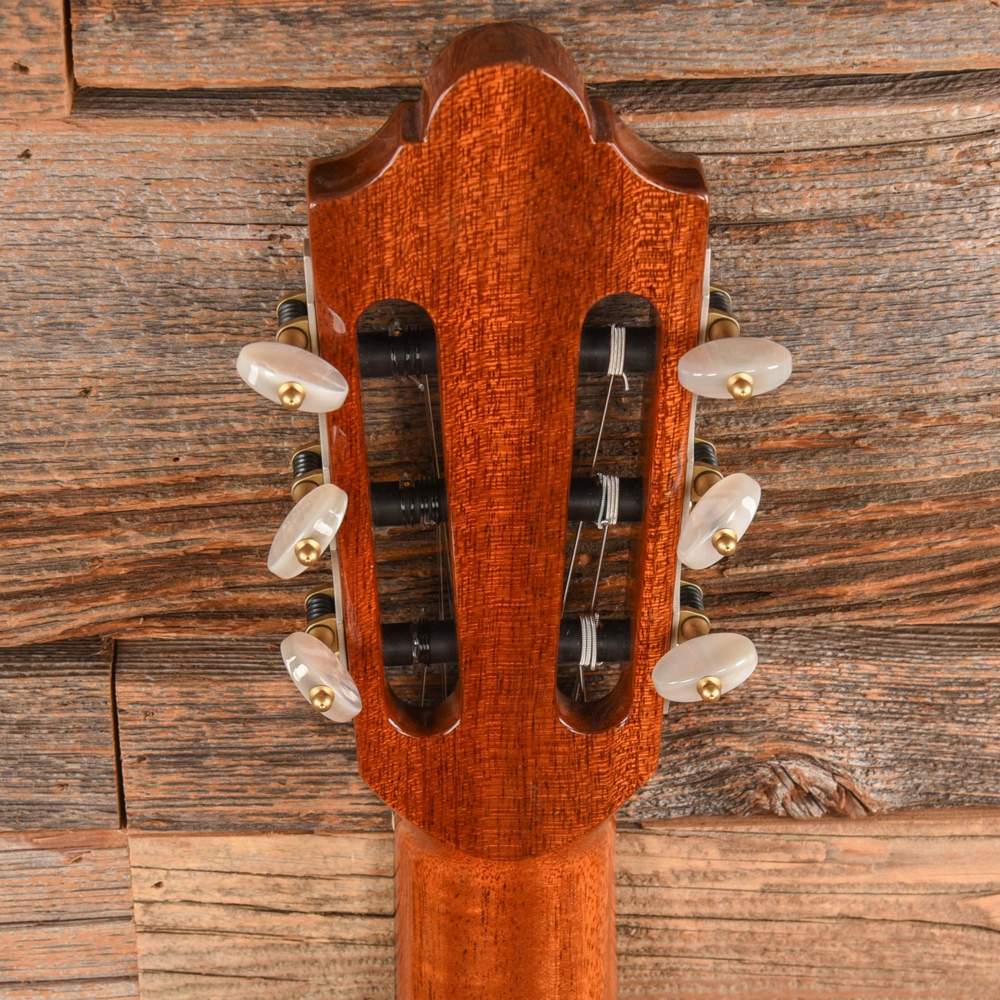 Cordoba Luthier Series Friederich Natural Acoustic Guitars / Classical