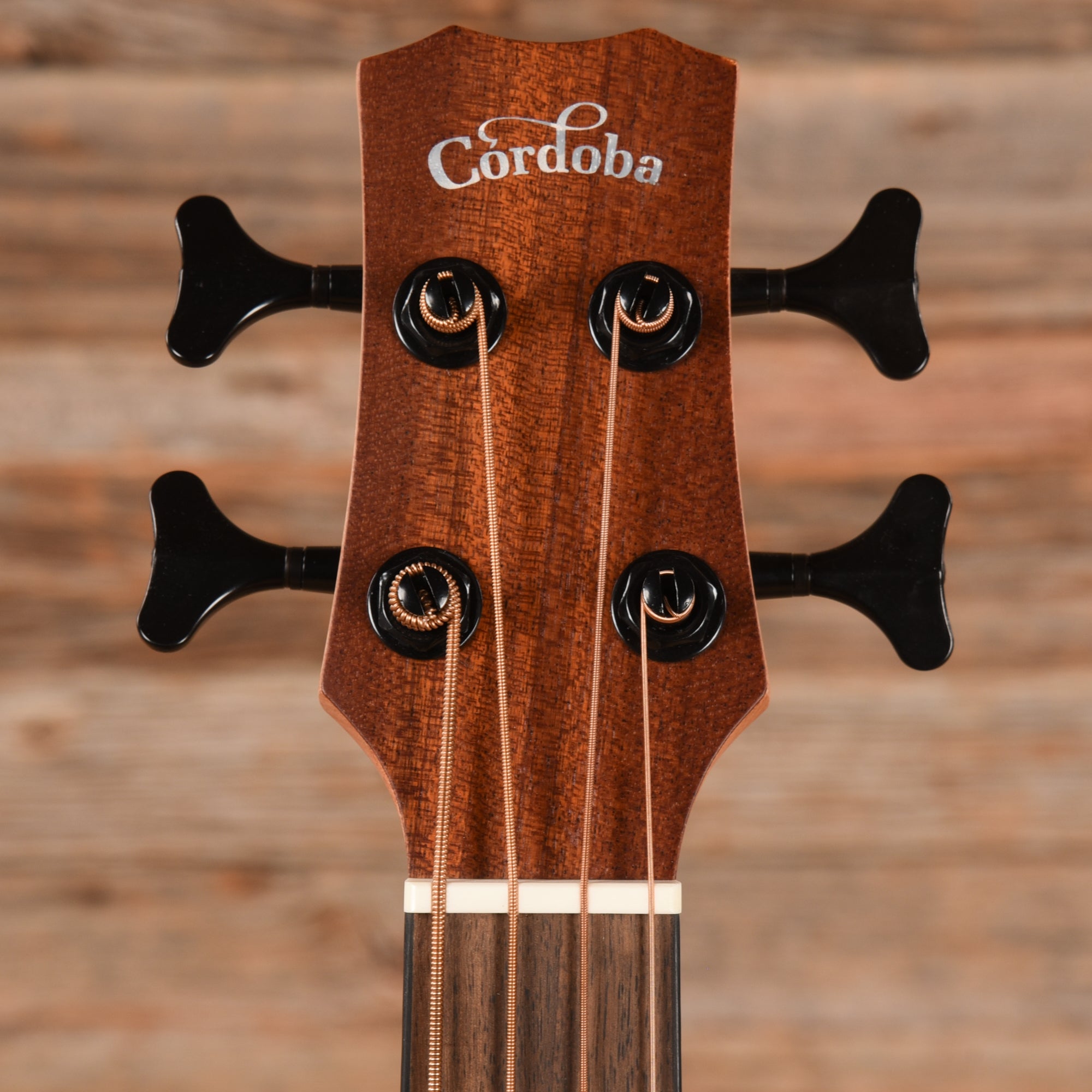 Cordoba Mini II Bass MH-E Mahogany w/Electronics Acoustic Guitars / Classical