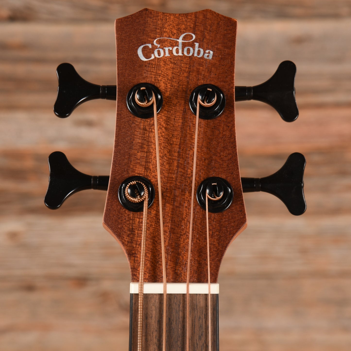 Cordoba Mini II Bass MH-E Mahogany w/Electronics Acoustic Guitars / Classical