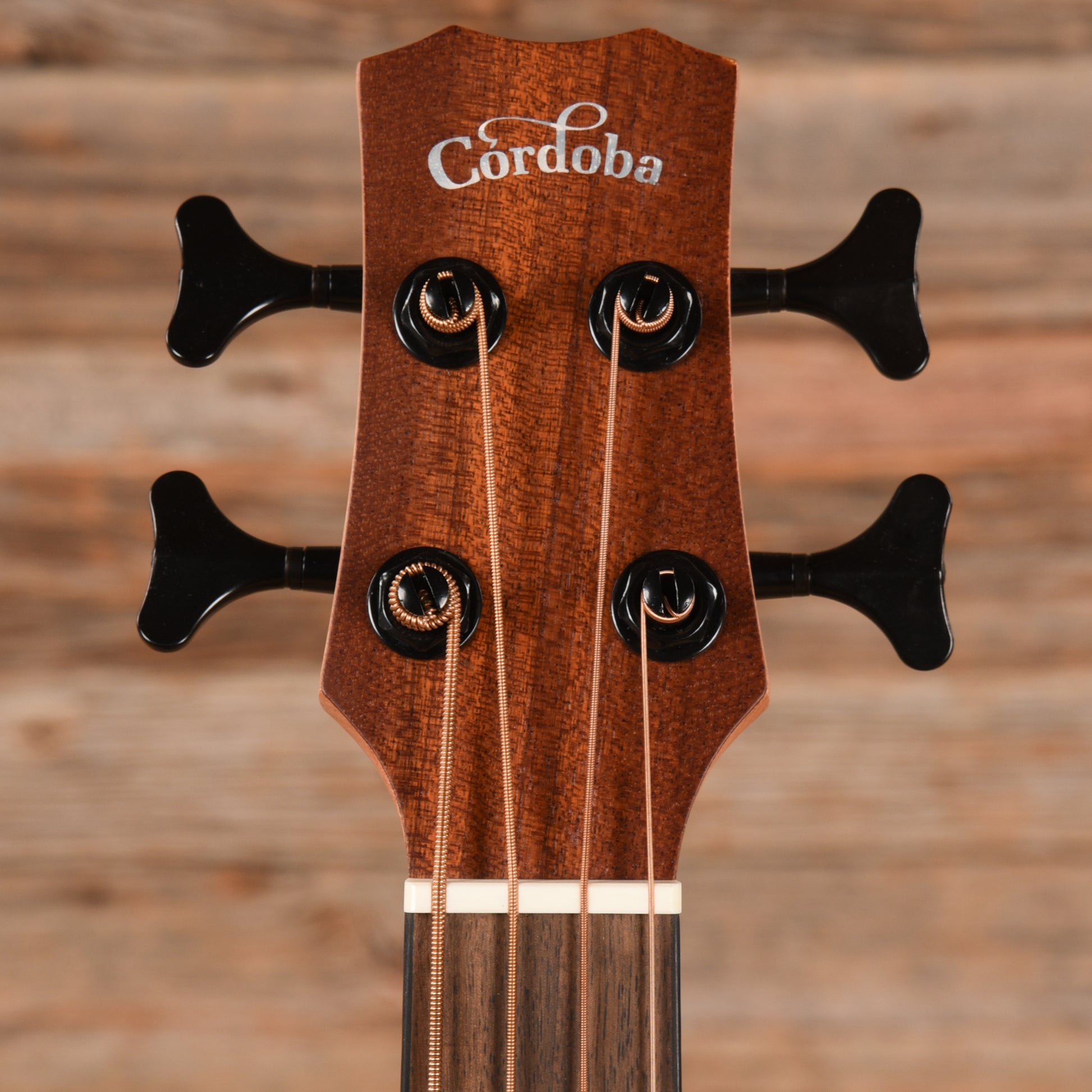 Cordoba Mini II Bass MH-E Mahogany w/Electronics Acoustic Guitars / Classical