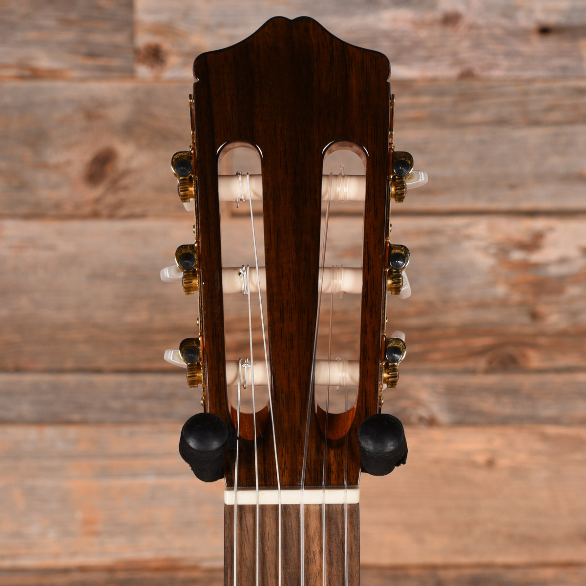 Cordoba C5-CE Natural Acoustic Guitars