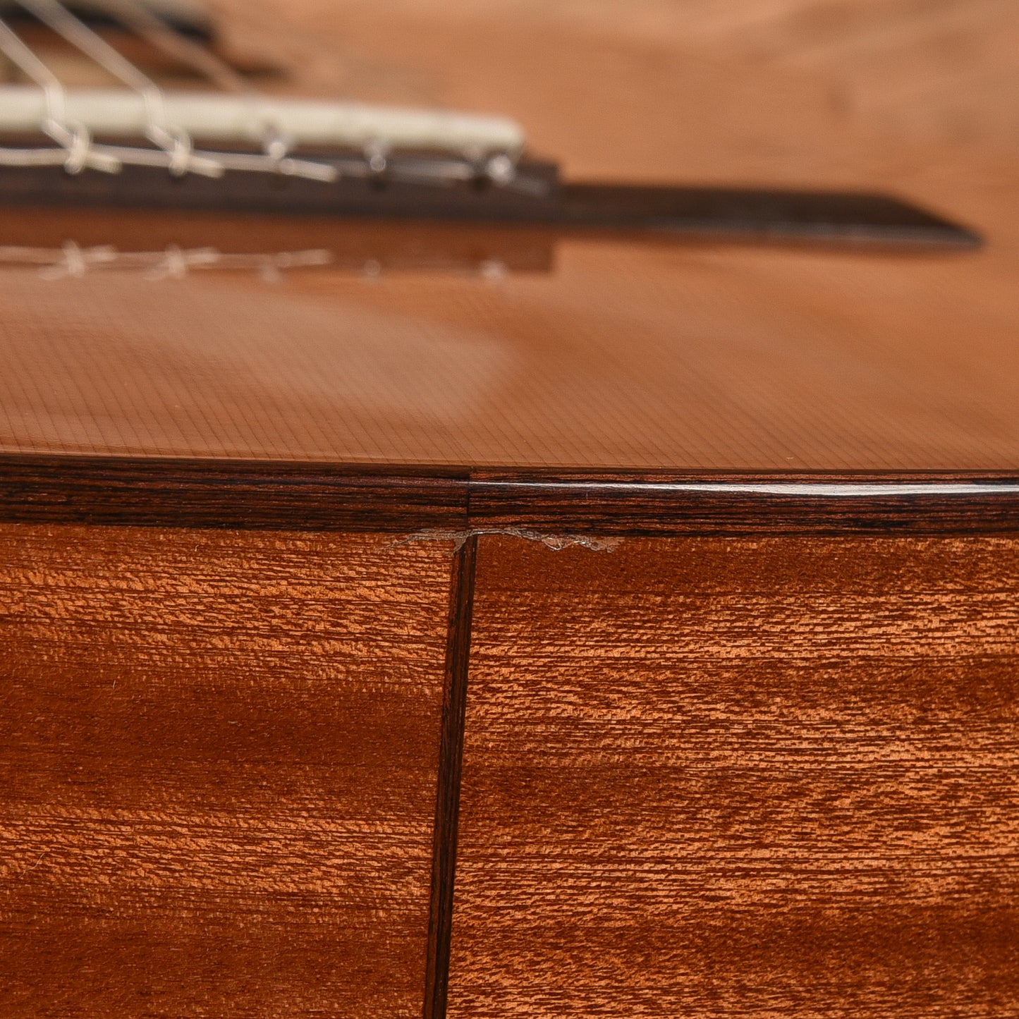 Cordoba C5 Cedar & Mahogany Classical Guitar Acoustic Guitars