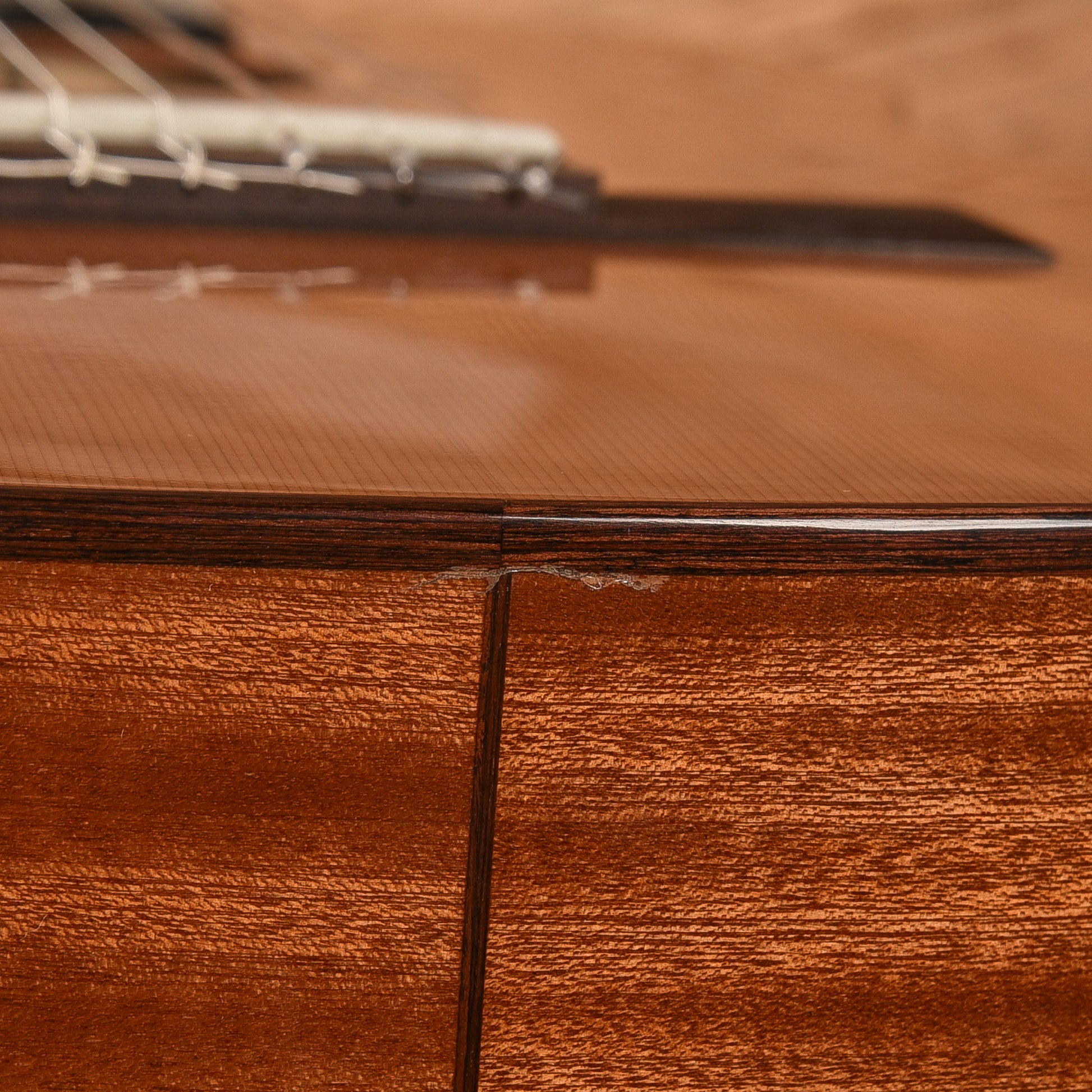 Cordoba C5 Cedar & Mahogany Classical Guitar Acoustic Guitars