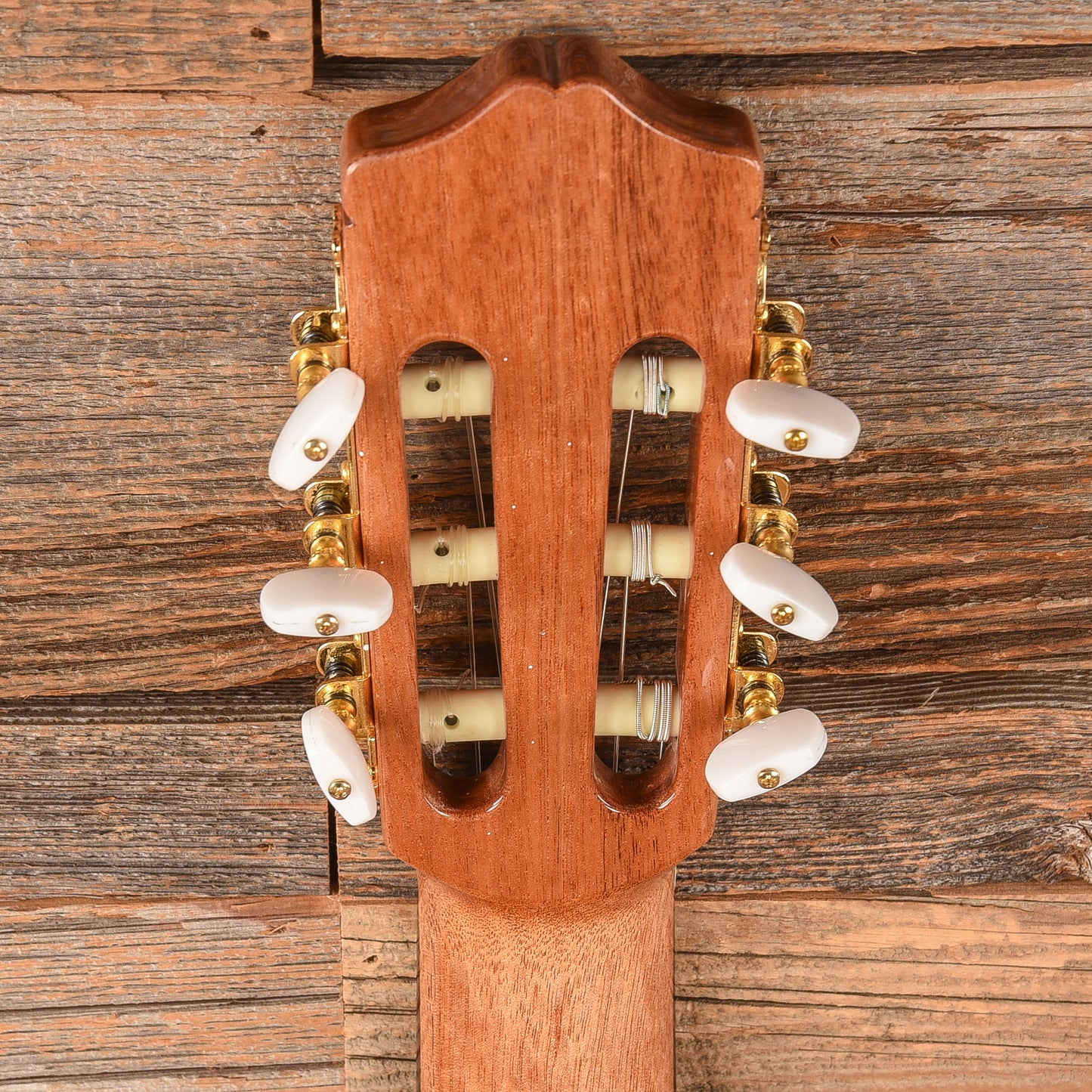 Cordoba C5 Cedar & Mahogany Classical Guitar Acoustic Guitars