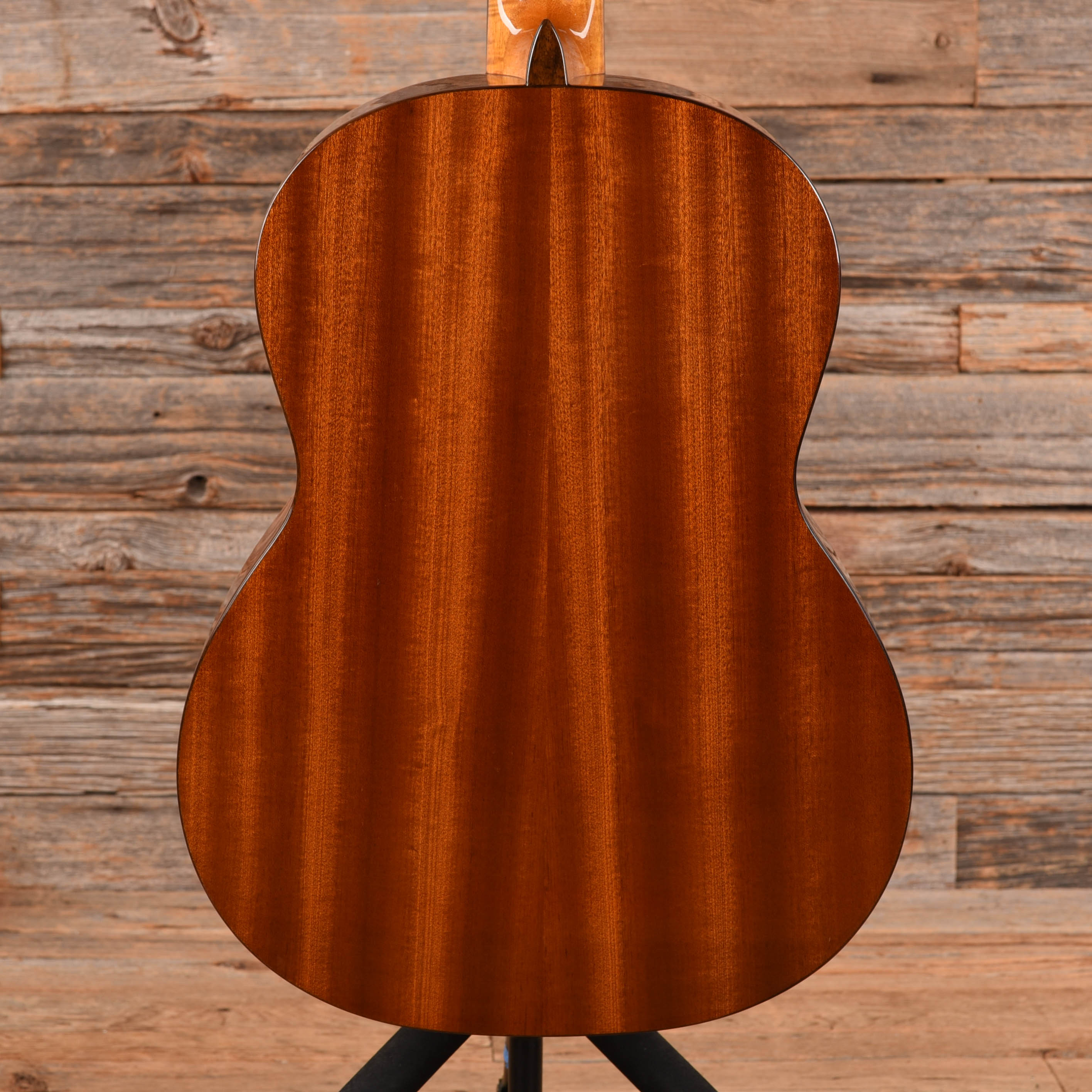 Cordoba C5 Natural Acoustic Guitars