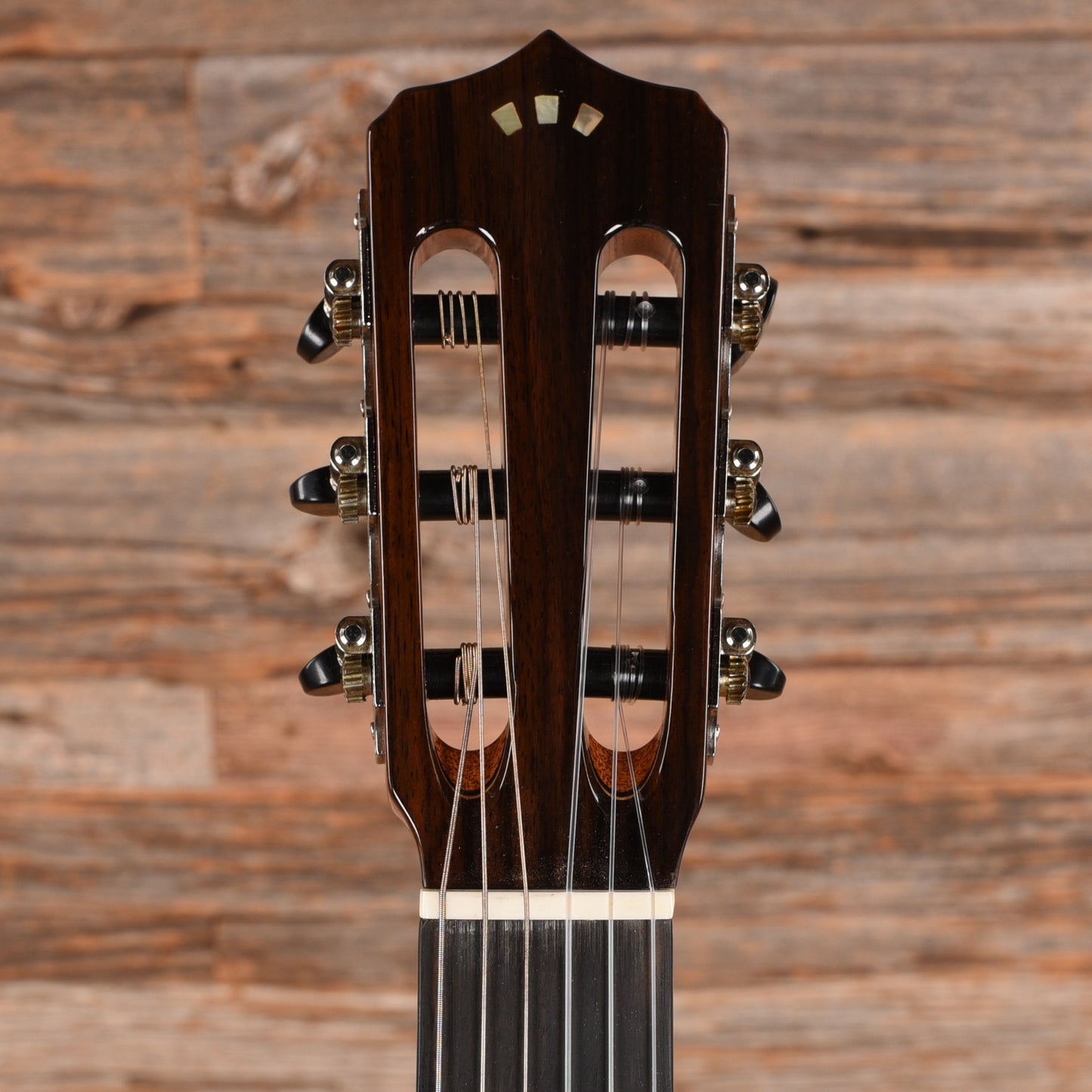 Cordoba Fusion 12 Maple Natural Acoustic Guitars