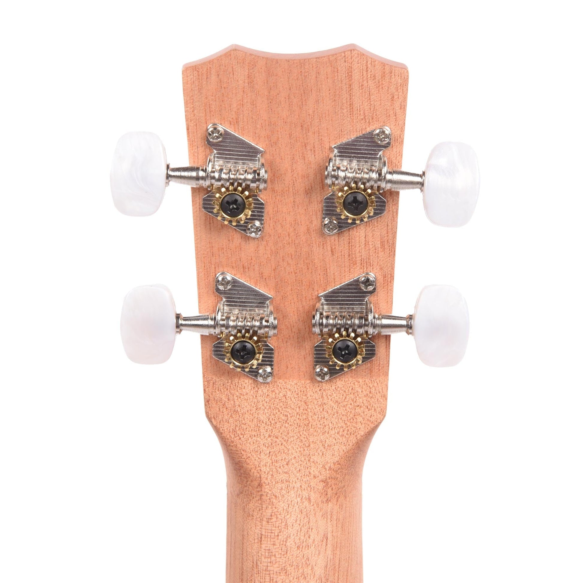 Cordoba 15CB Concert Ukulele Exotic Bogote Folk Instruments / Ukuleles