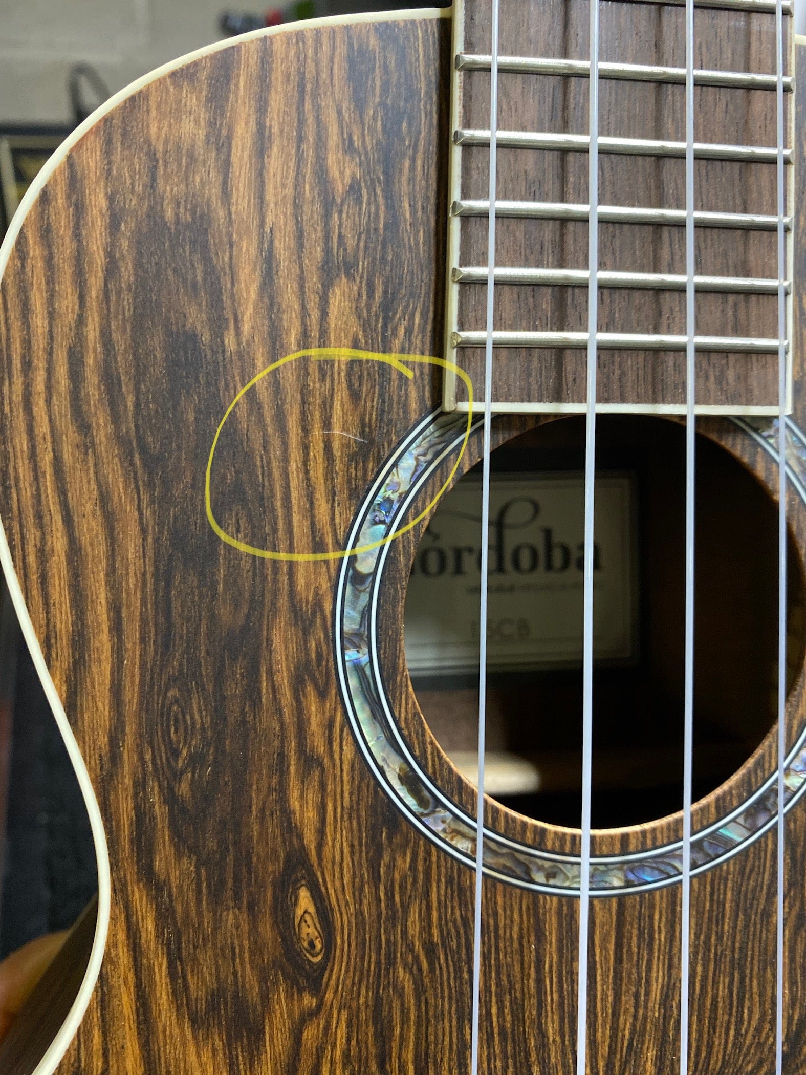 Cordoba 15CB Concert Ukulele Exotic Bogote Folk Instruments / Ukuleles