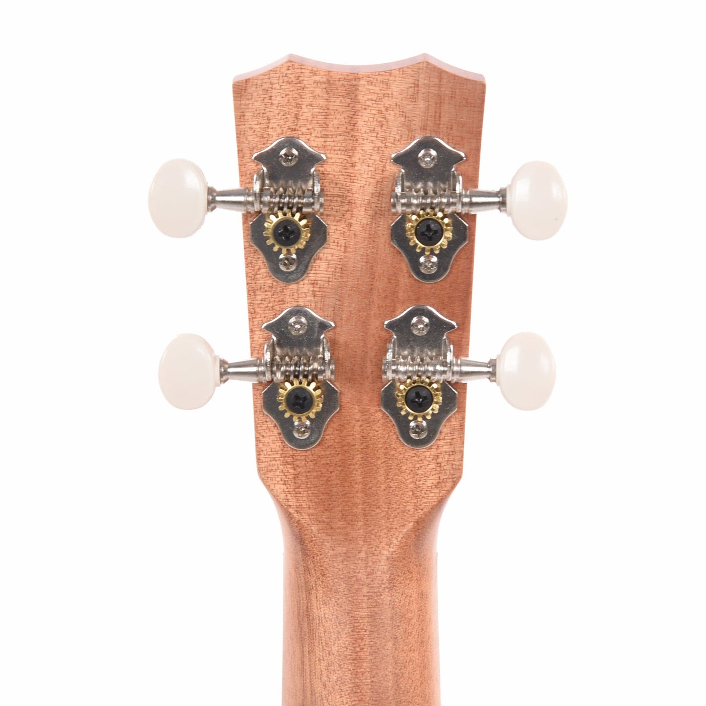 Cordoba 15CM Matiz Concert Ukulele Mint Folk Instruments / Ukuleles