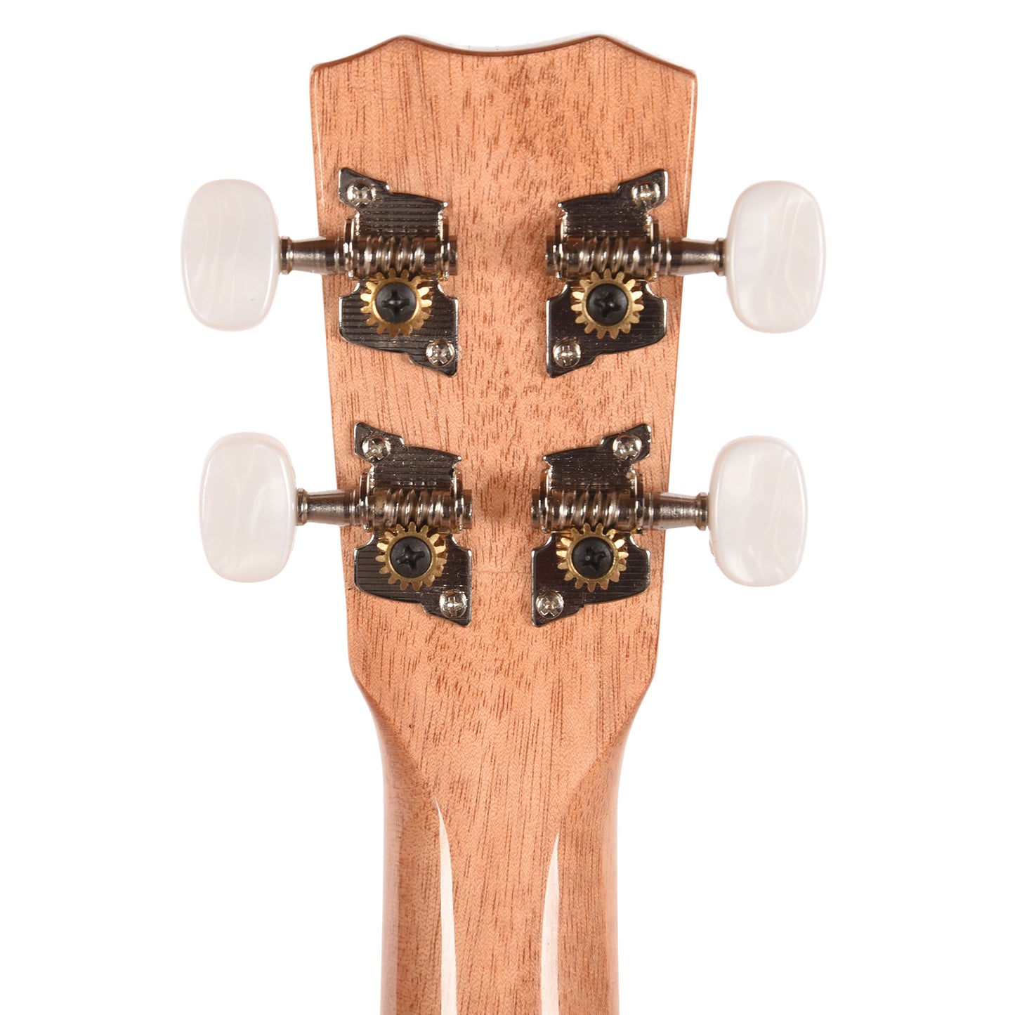 Cordoba 15C Concert Ukulele Catalonia Green Ukuleles
