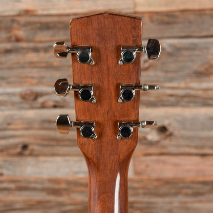 Cort AF550 Natural 2004