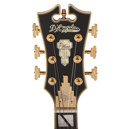 D'Angelico Deluxe Bobby Weir 3 Semi-Hollow Satin Trans Wine Electric Guitars
