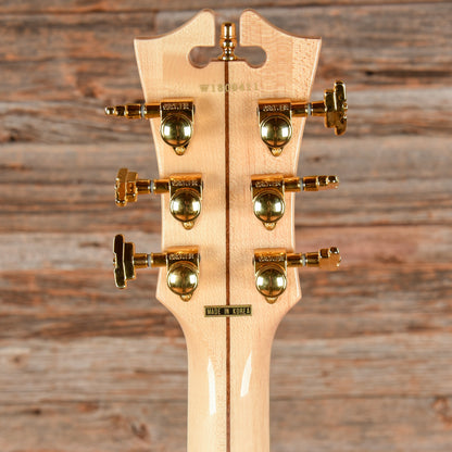 D'Angelico Ludlow Deluxe Hunter Green 2018 Electric Guitars
