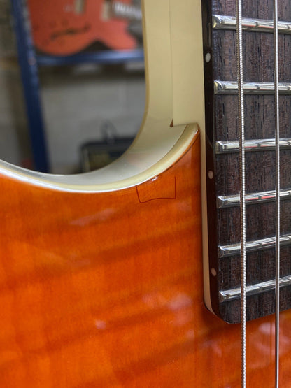 Danelectro '59 Divine Flame Maple Electric Guitars / Solid Body