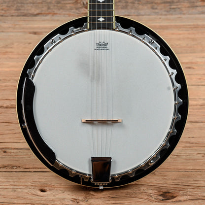 Danville BJ-30 Banjo Folk Instruments / Banjos