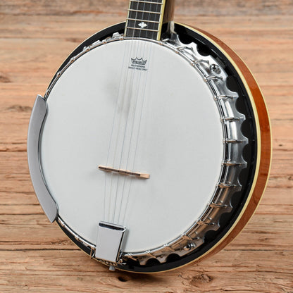 Danville BJ-30 Banjo Folk Instruments / Banjos