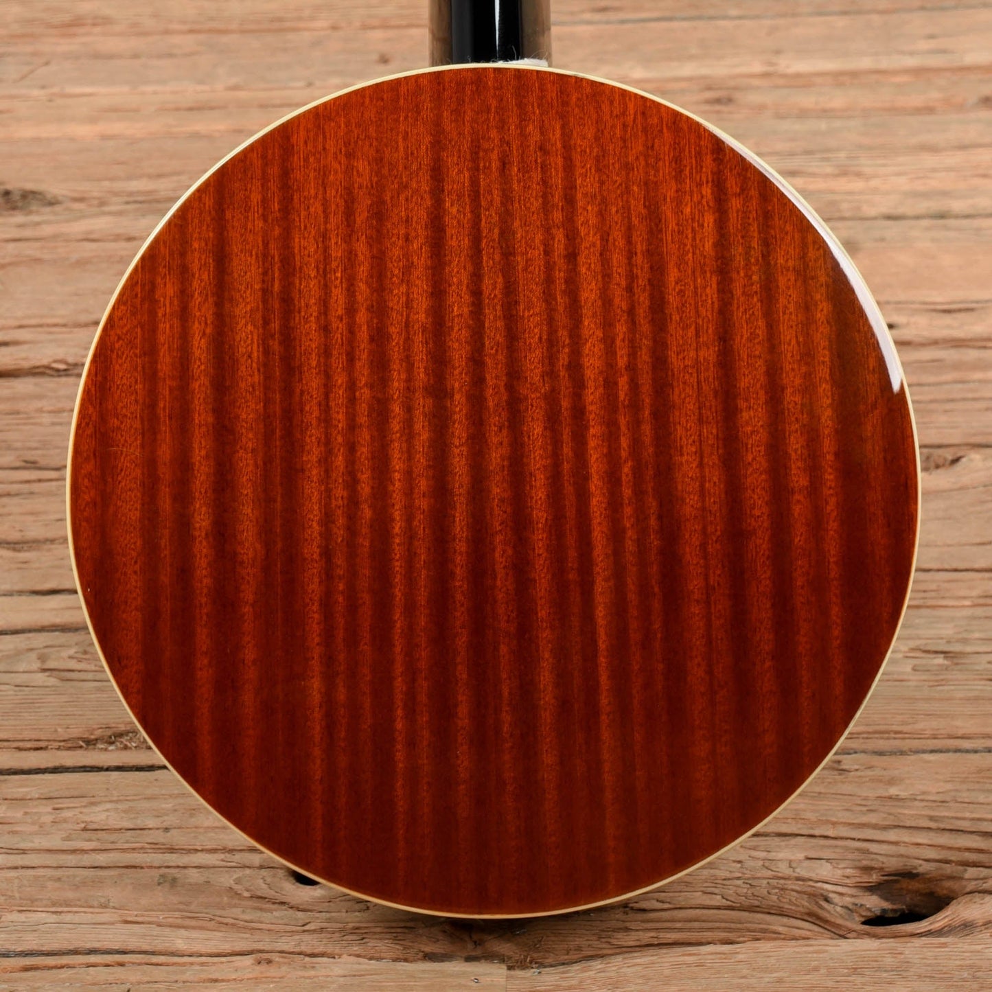 Danville BJ-30 Banjo Folk Instruments / Banjos