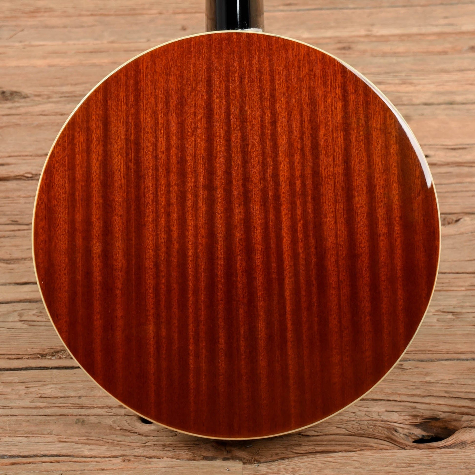 Danville BJ-30 Banjo Folk Instruments / Banjos