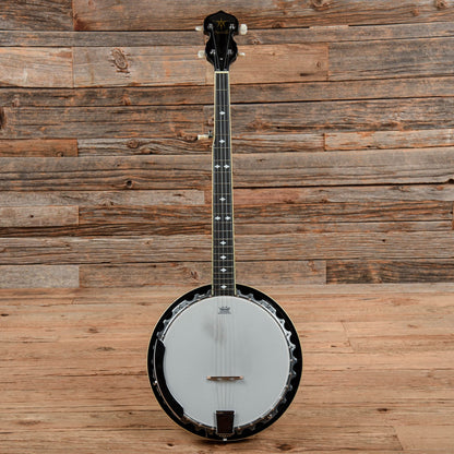 Danville BJ-30 Banjo Folk Instruments / Banjos