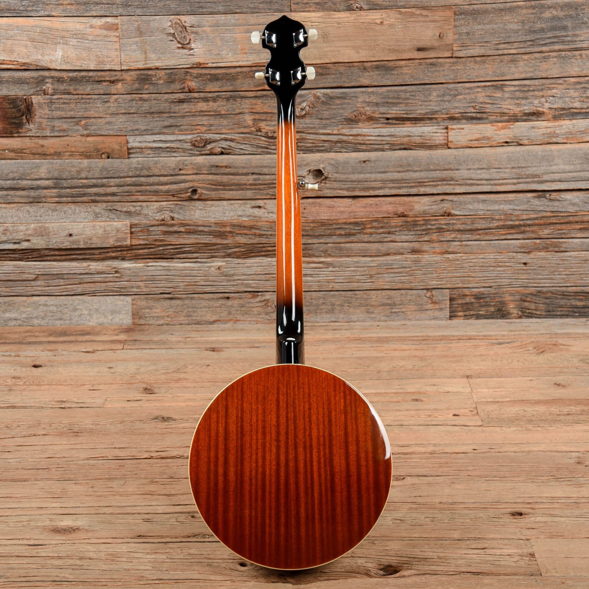 Danville BJ-30 Banjo Folk Instruments / Banjos