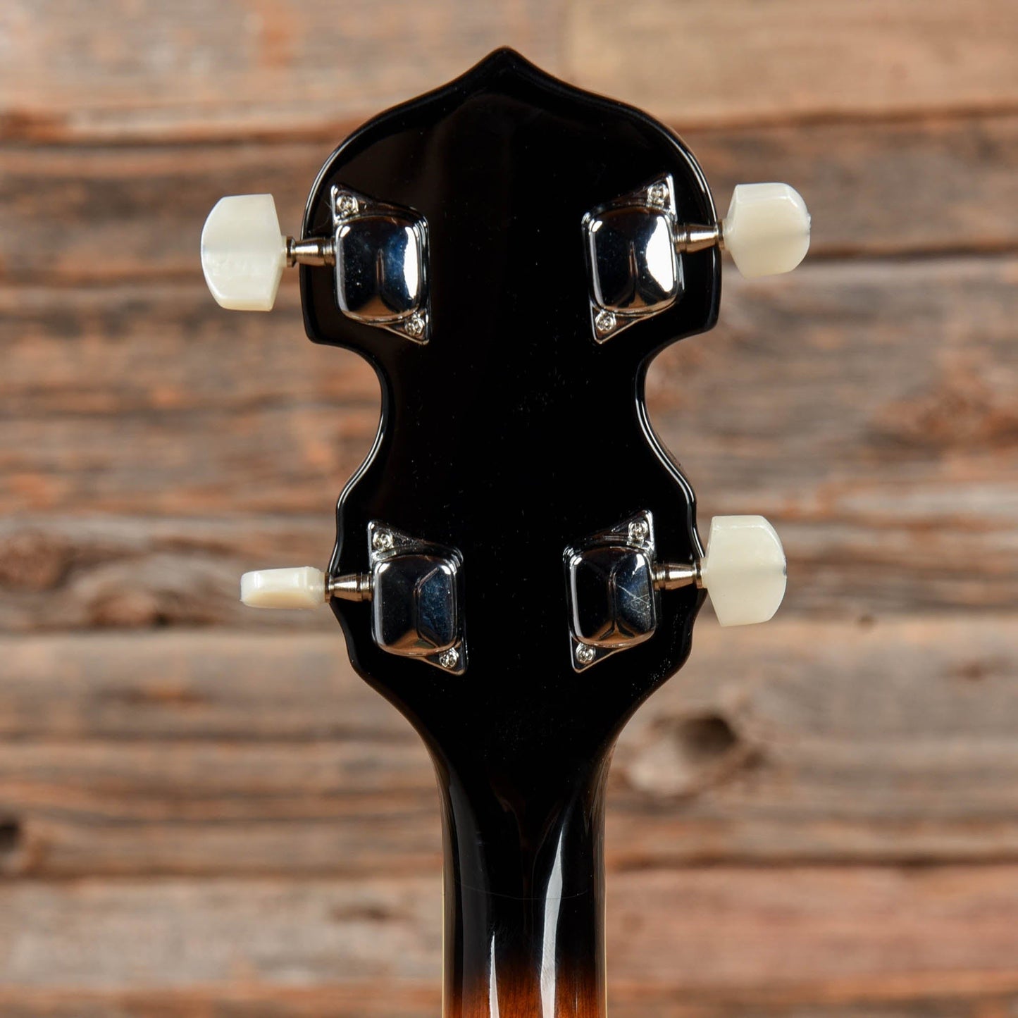 Danville BJ-30 Banjo Folk Instruments / Banjos