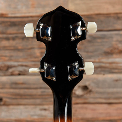 Danville BJ-30 Banjo Folk Instruments / Banjos