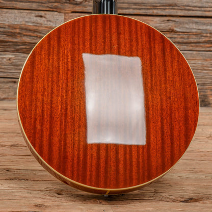 Danville BJ-30 Banjo Folk Instruments / Banjos