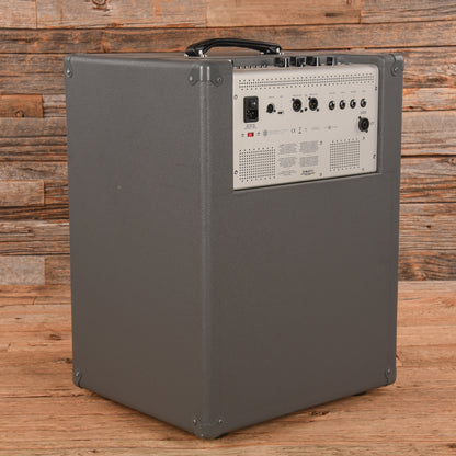 Darkglass Infinity 500 500-Watt 2x10" Bass Combo Amps / Bass Amps / Bass Cabinets