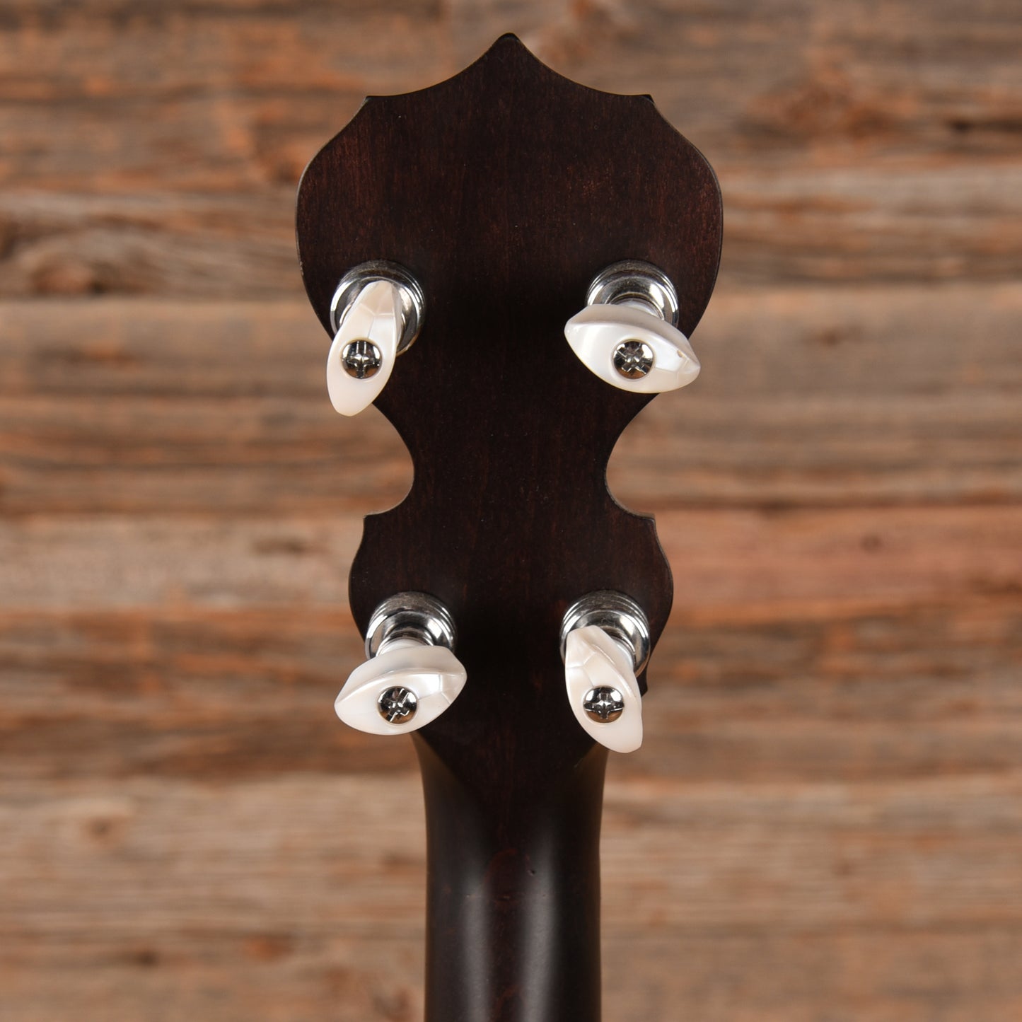 Deering Goodtime Special 5-String Open Back Banjo Folk Instruments / Banjos