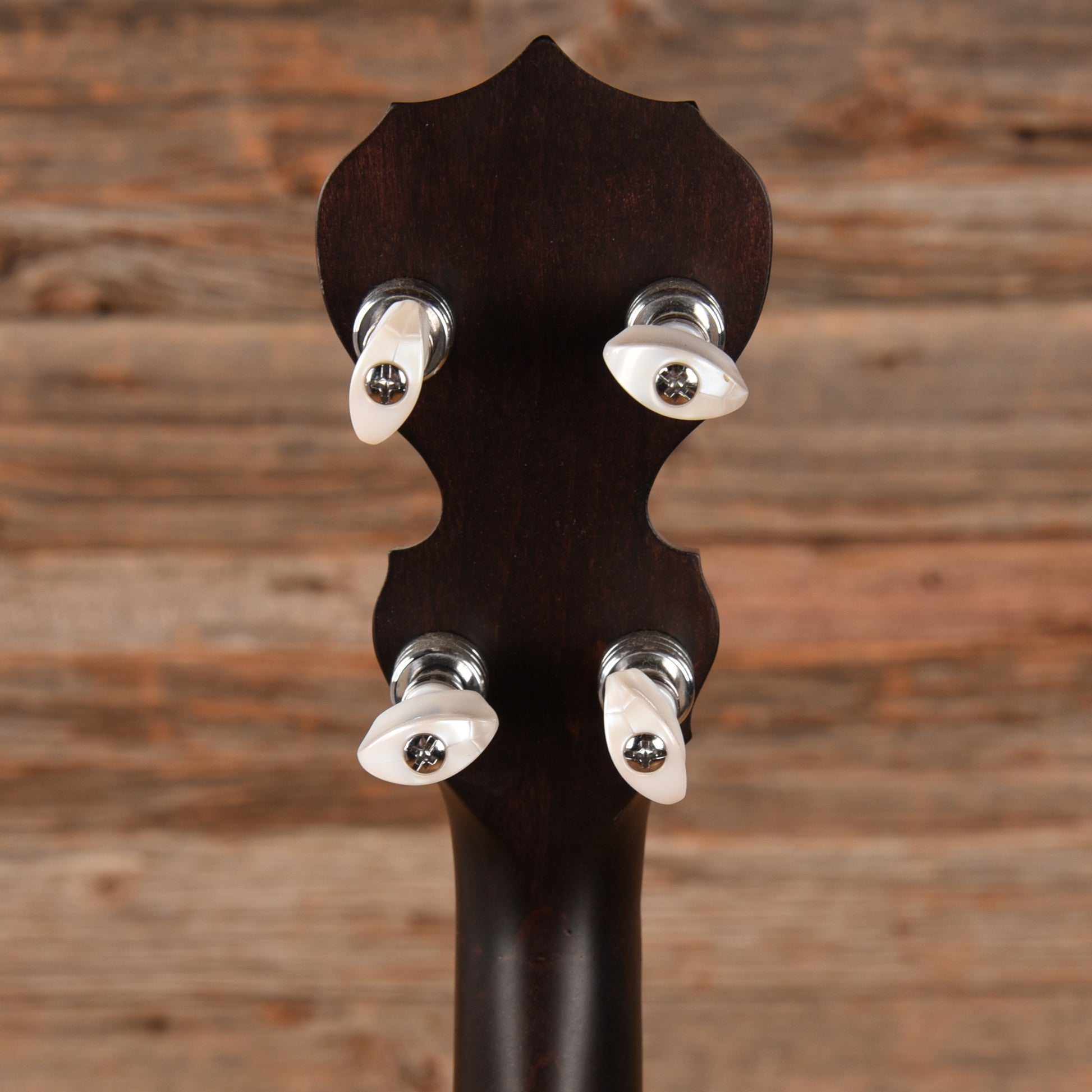 Deering Goodtime Special 5-String Open Back Banjo Folk Instruments / Banjos