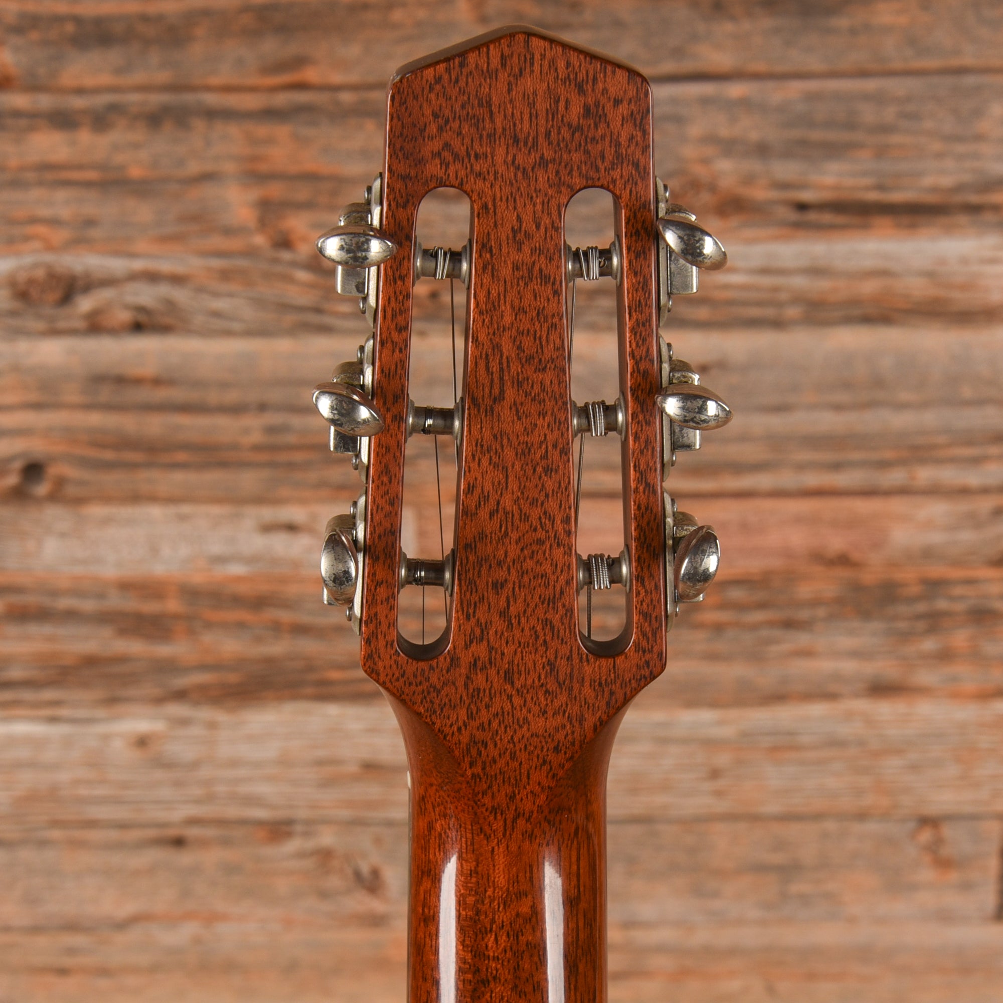 Dell'Arte Gypsy Jazz Guitar Natural Acoustic Guitars / Archtop