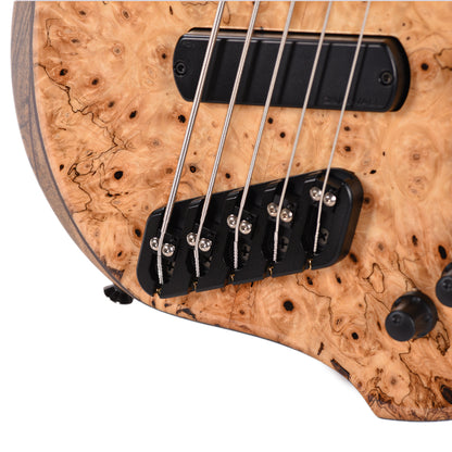Dingwall Custom Afterburner I 5-String Buckeye Burl/Black Limba Natural w/Darkglass Preamp Bass Guitars / 5-String or More