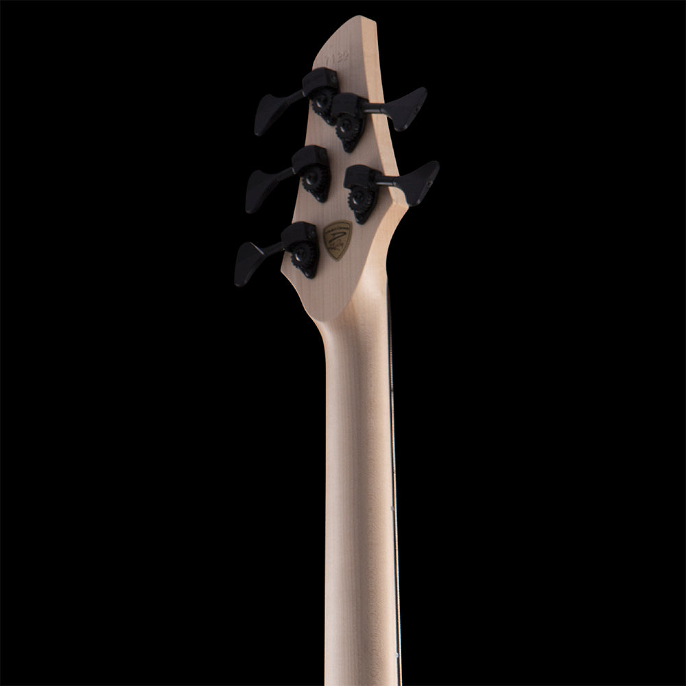 Dingwall ABZ (BGS 2026) Bass Guitars