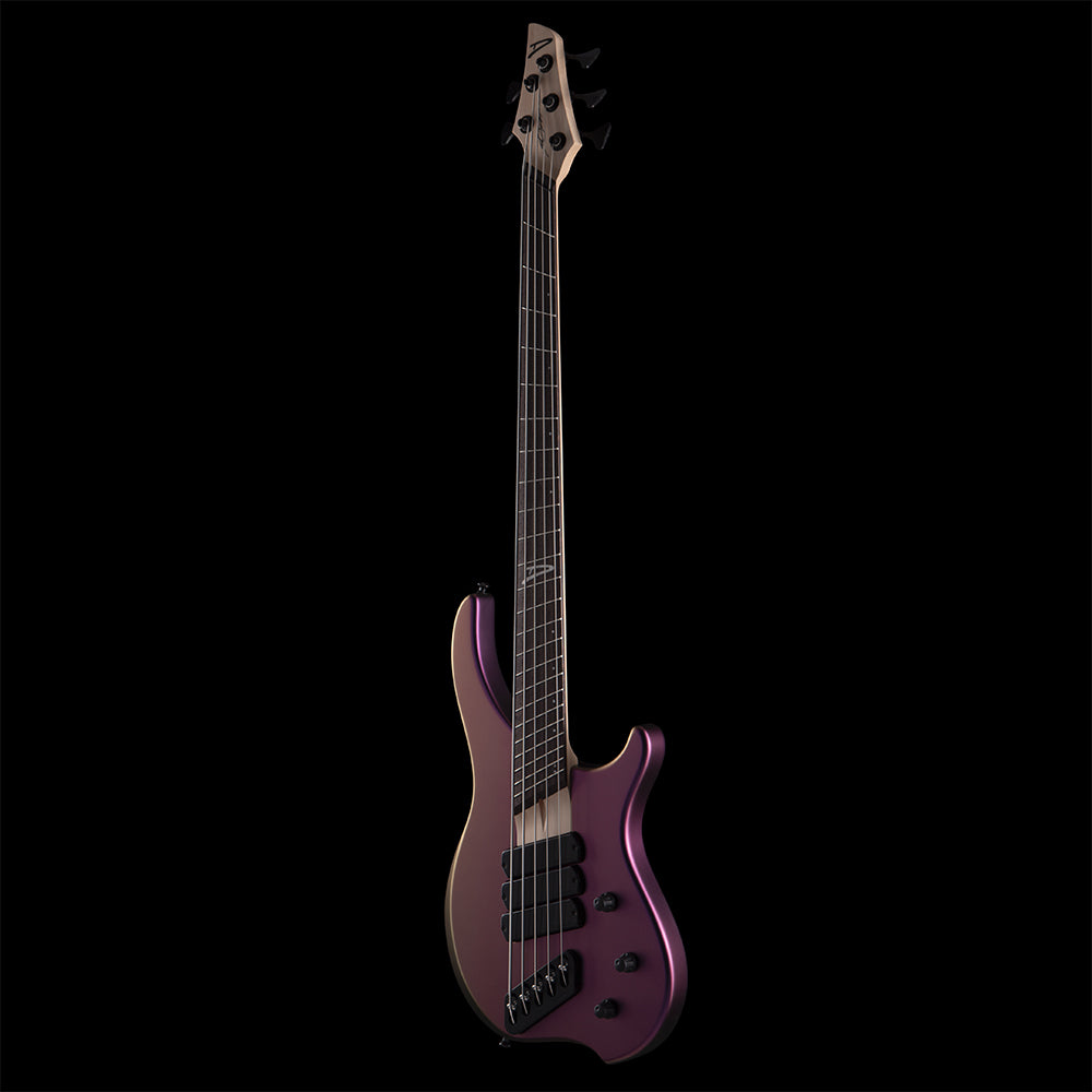 Dingwall ABZ (BGS 2026) Bass Guitars