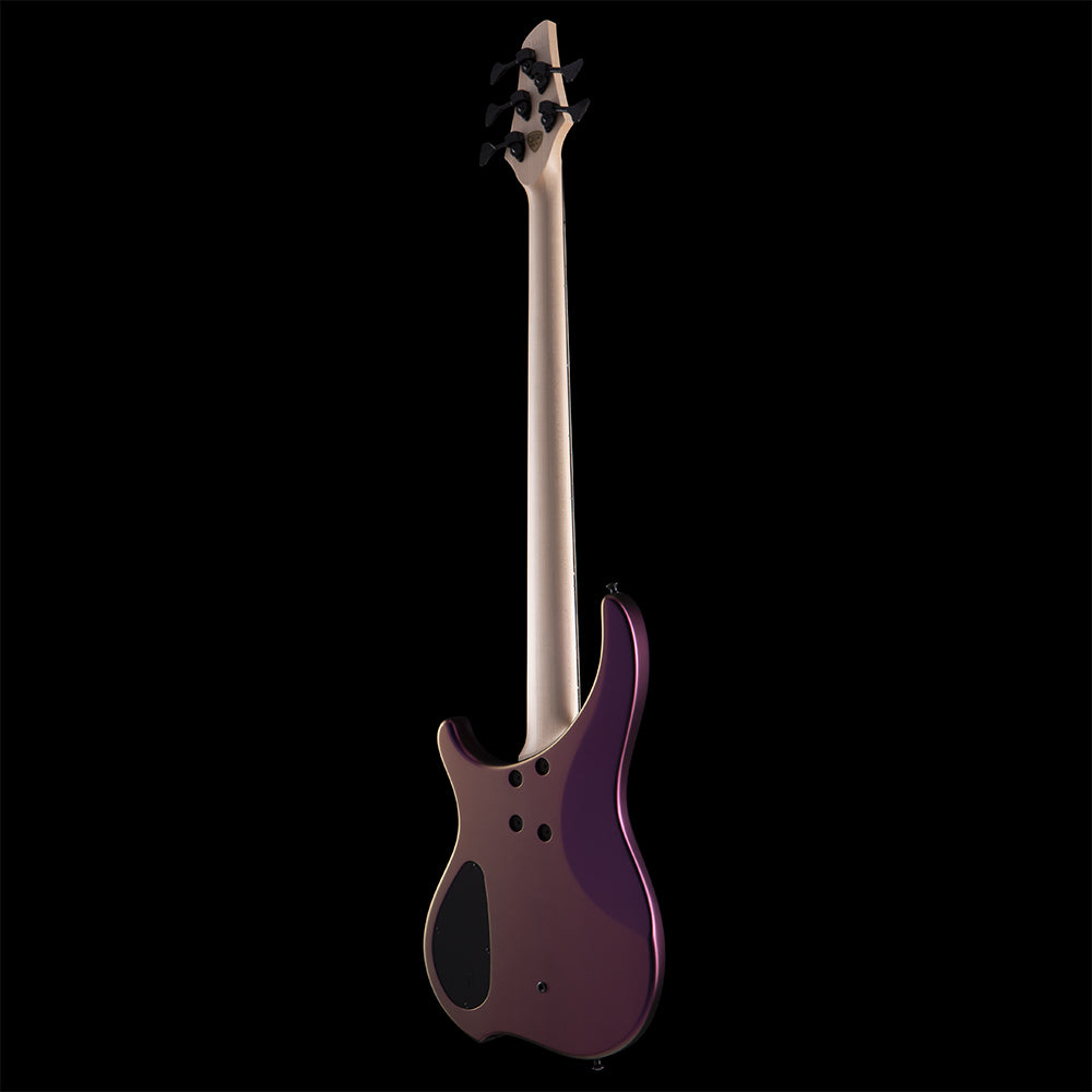 Dingwall ABZ (BGS 2026) Bass Guitars