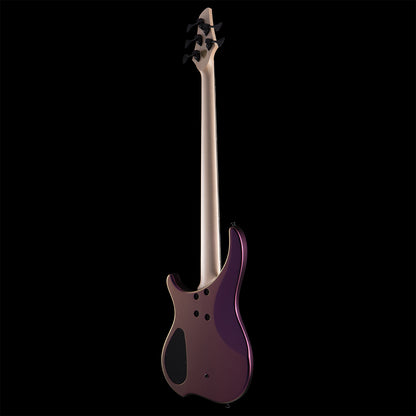 Dingwall ABZ (BGS 2026) Bass Guitars