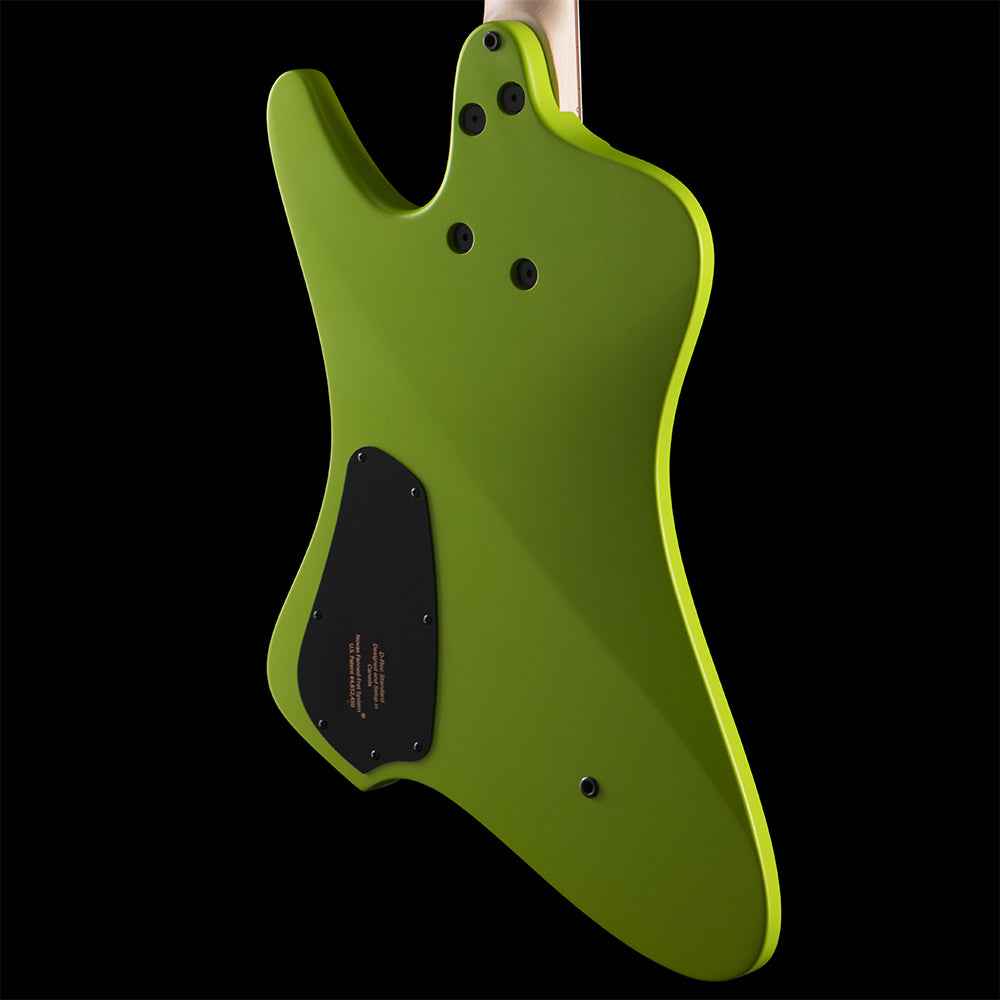 Dingwall D-Roc Standard (BGS 2026) Bass Guitars