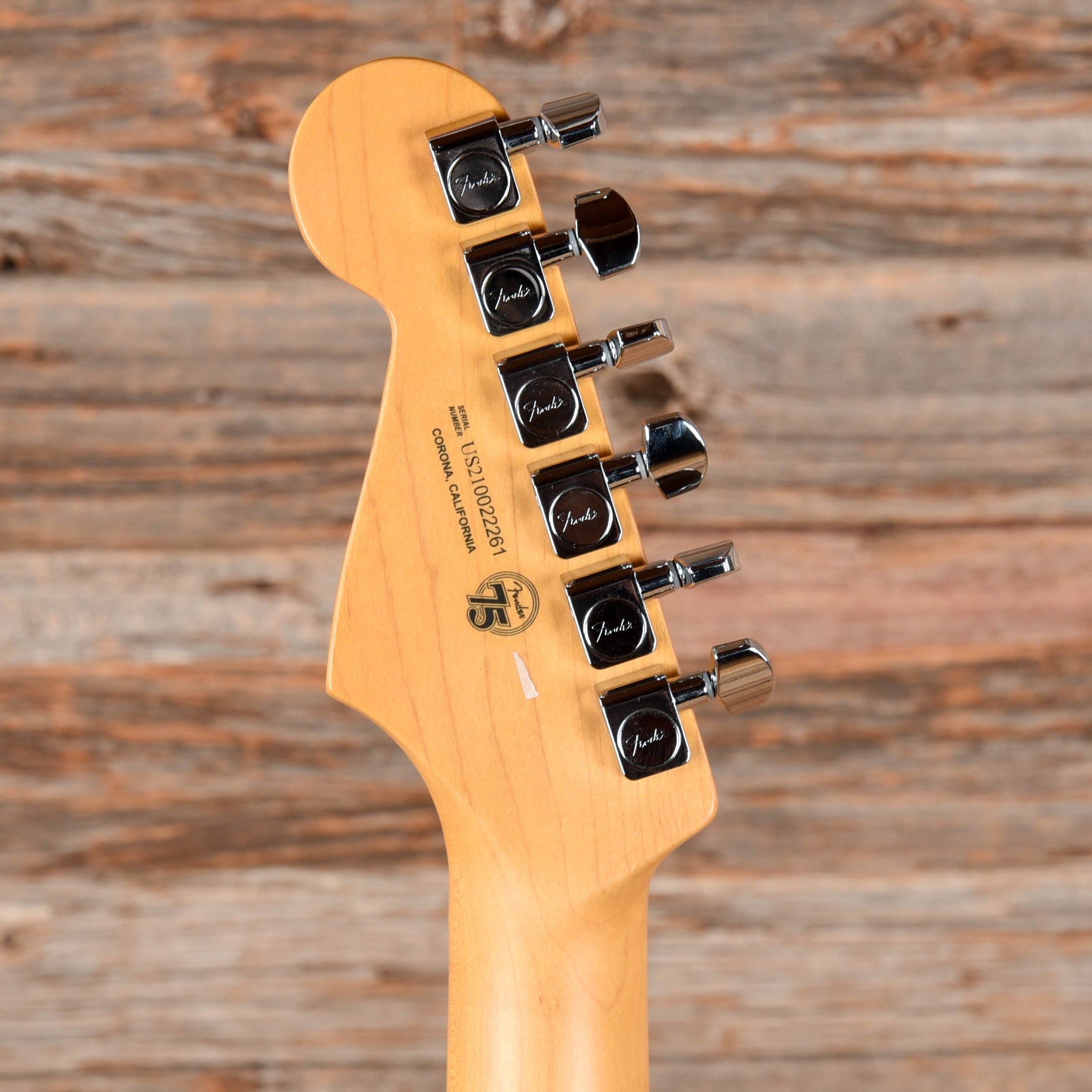 Fender American Professional II Stratocaster Silver 2021