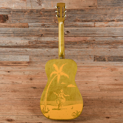 Dobro Hula Blues Duolian Olive 1988 Acoustic Guitars