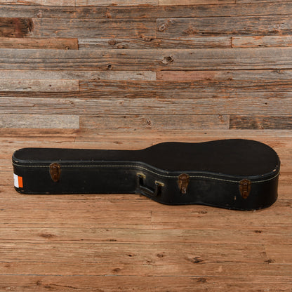 Dobro Hula Blues Duolian Olive 1988 Acoustic Guitars