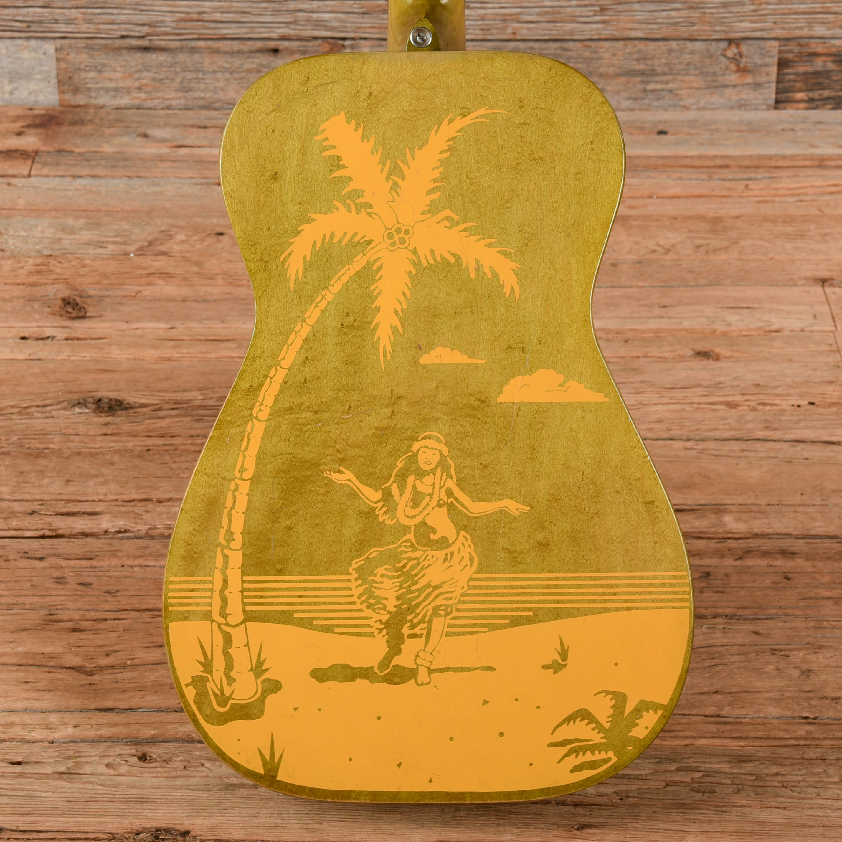 Dobro Hula Blues Duolian Olive 1988 Acoustic Guitars