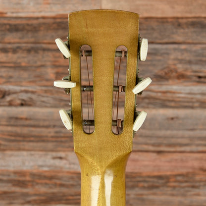Dobro Hula Blues Duolian Olive 1988 Acoustic Guitars